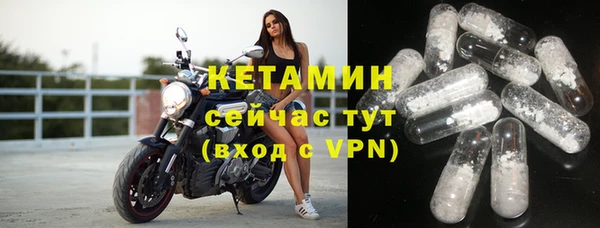 шишки Переславль-Залесский