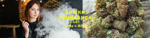 шишки Переславль-Залесский