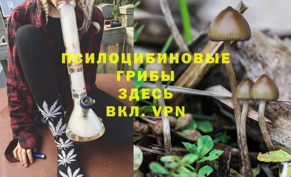 шишки Переславль-Залесский