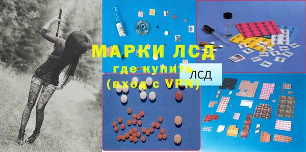 шишки Переславль-Залесский