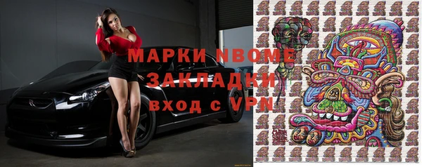 шишки Переславль-Залесский