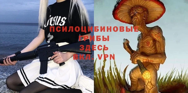 jwh Пересвет