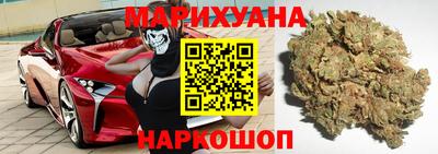 индика Бийск