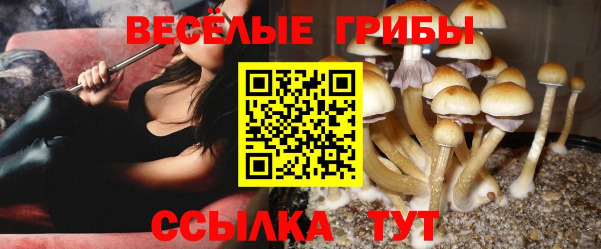 Псилоцибиновые грибы GOLDEN TEACHER  Галлюциногенные грибы ЛСД  Великие Луки 