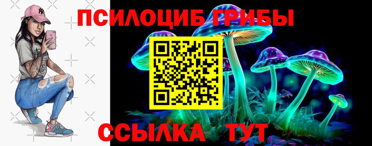 Великие Луки  Галлюциногенные грибы Psilocybe  Вход с VPN 