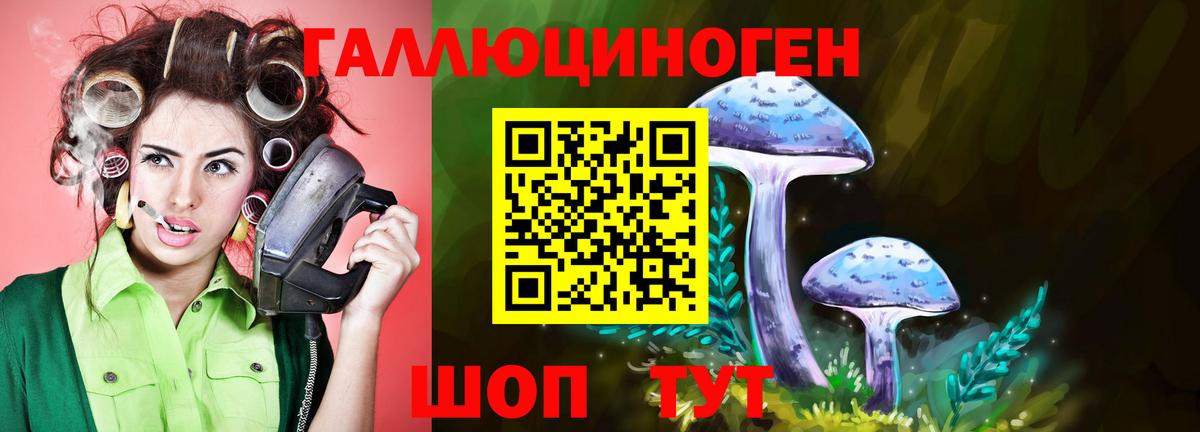 Галлюциногенные грибы Cubensis Великие Луки