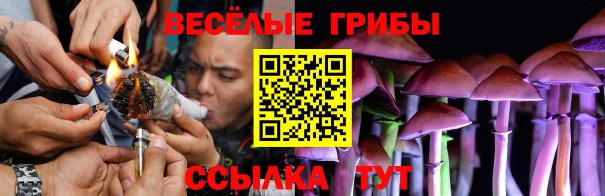 Галлюциногенные грибы GOLDEN TEACHER Великие Луки